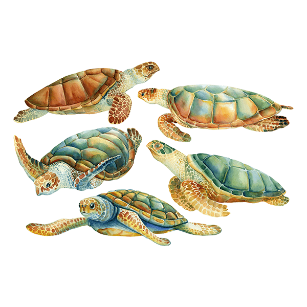 Stickers muraux: Famille de la Tortue