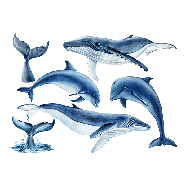 Stickers pour enfants: Baleines et Dauphins