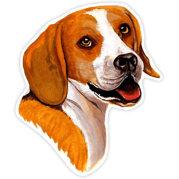 Autocollants: Beagle