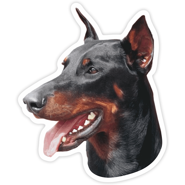 Autocollants: Doberman Pinsche