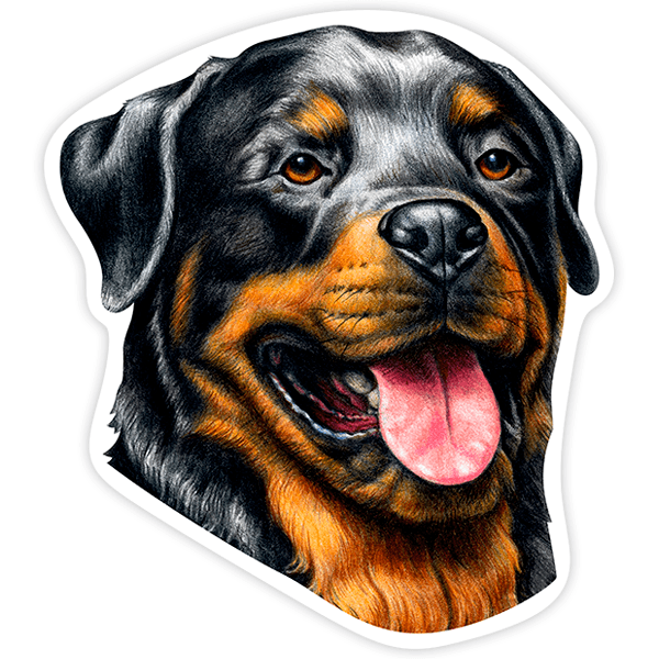 Autocollants: Rottweiler