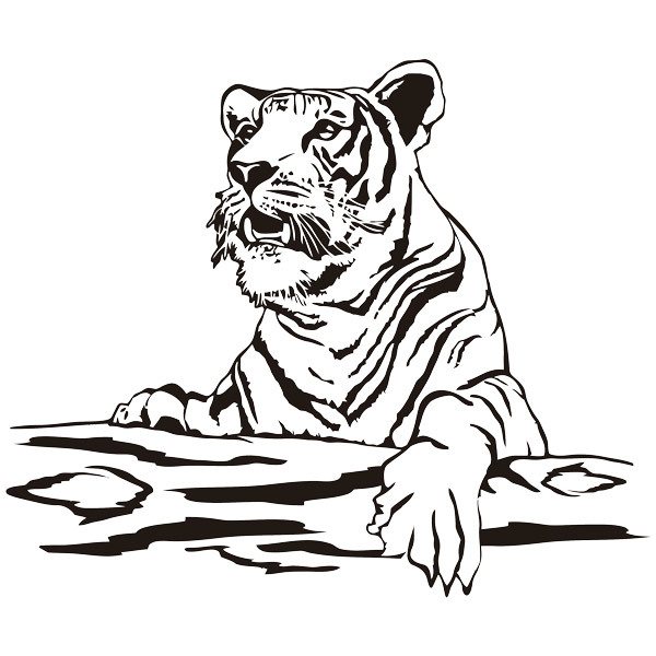 Stickers muraux: Tigre sur un tronc