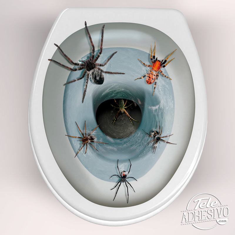 Stickers muraux: Araignées sortant de la cuvette de WC