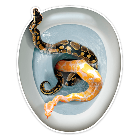 Stickers muraux: Serpents sortant de la cuve