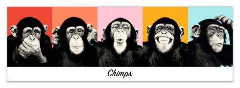 Stickers muraux: Poster adhésif 5 Chimpanzés