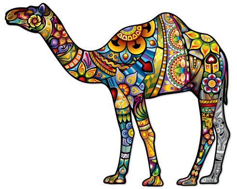 Stickers muraux: Chameau hindou