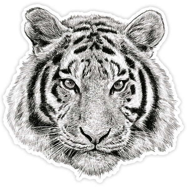 Autocollants: Tête de tigre blanche