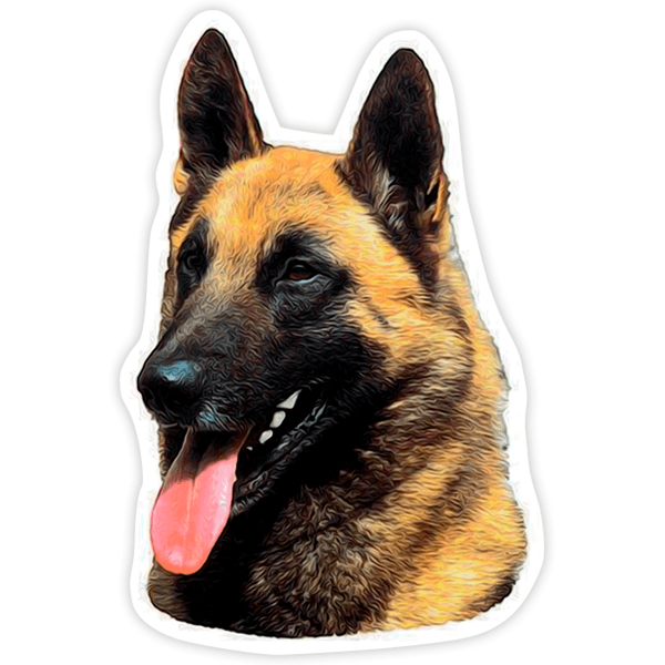 Autocollants: Berger belge malinois