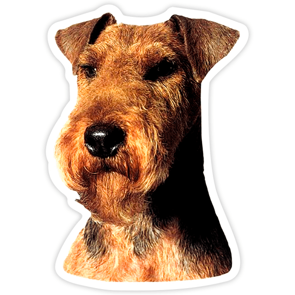 Autocollants: Terrier Gallois