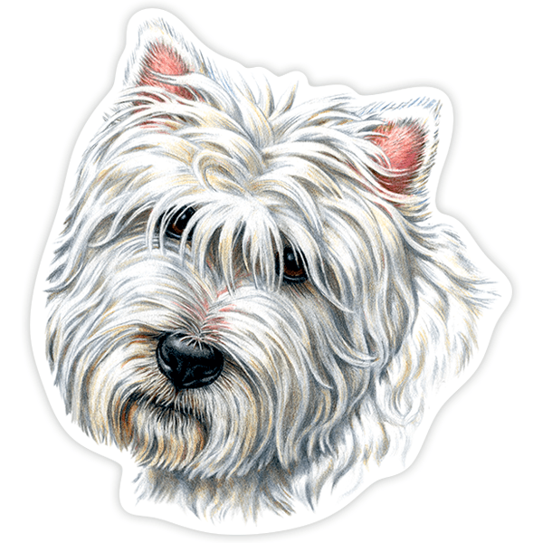 Autocollants: West Highland Terrier