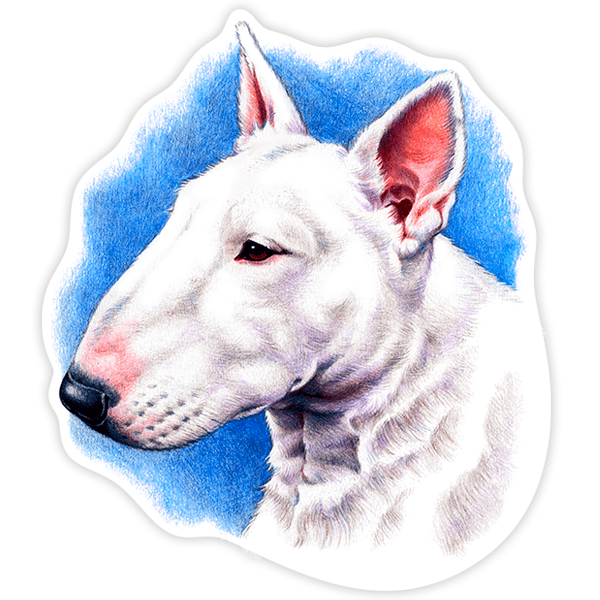 Autocollants: Bull Terrier