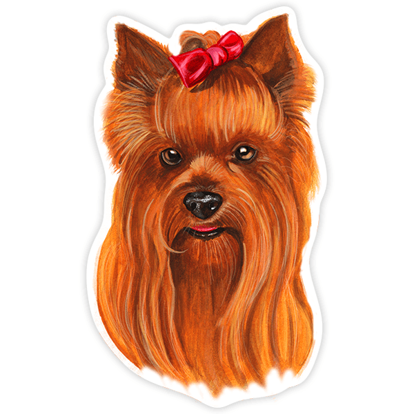 Autocollants: Yorkshire Terrier