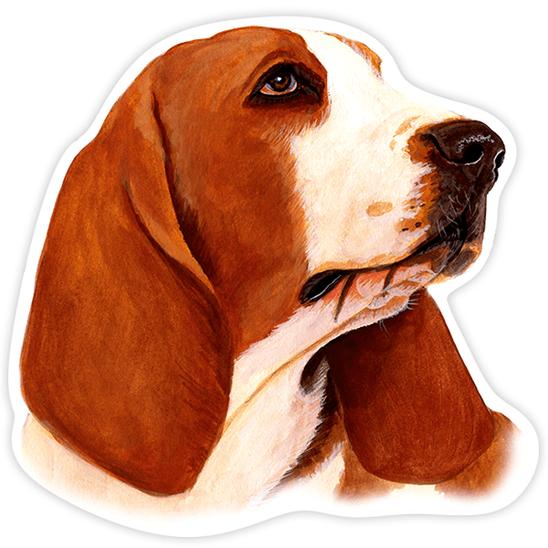 Autocollants: Basset Hound rouge