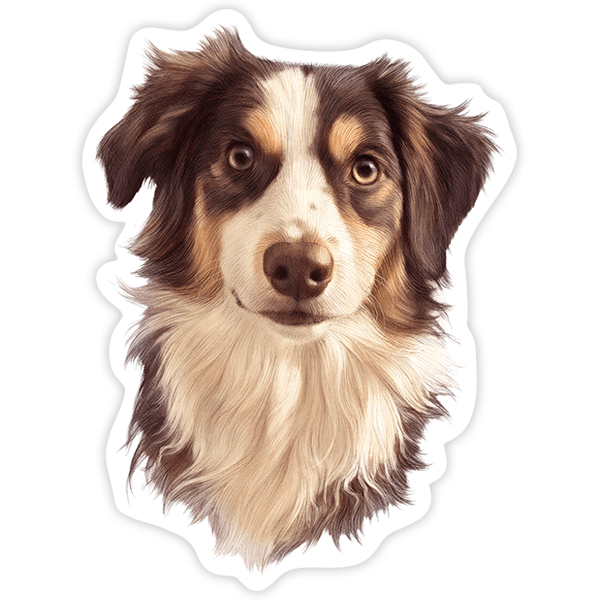 Autocollants: Border Collie