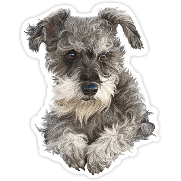 Autocollants: Chiot Schnauzer