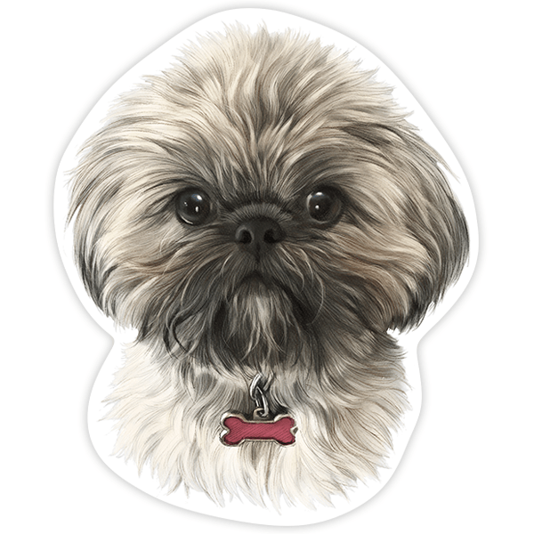 Autocollants: Shih Tzu Tibétain