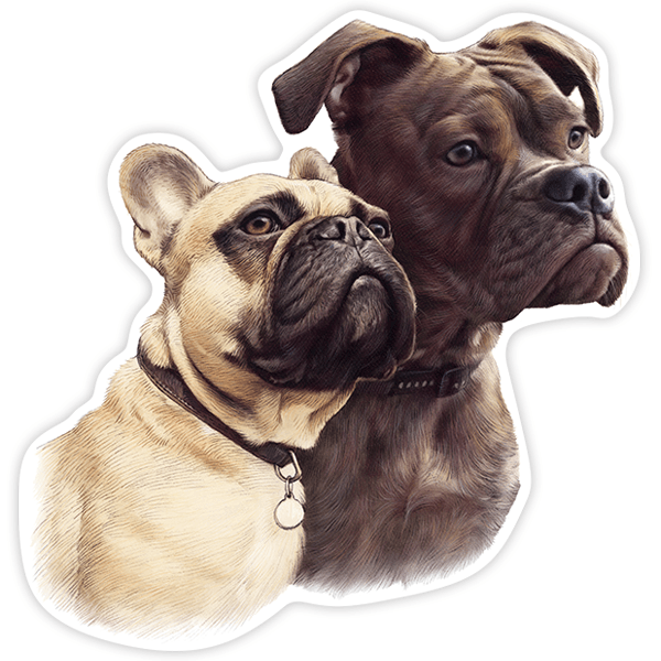 Autocollants: Couple de Bouledogues Français
