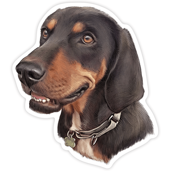 Autocollants: Teckel (Chien Saucisse)