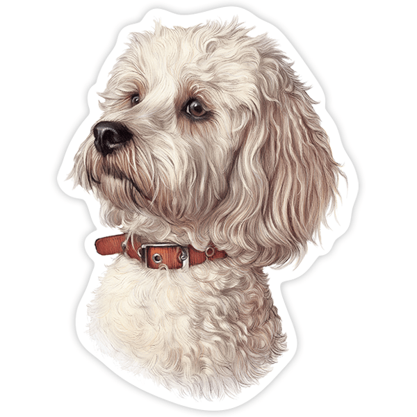 Autocollants: Bichon Maltais