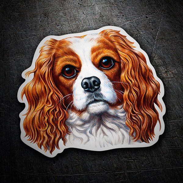 Autocollant chien Cavalier Roi Charles | WebStickersMuraux.com, image size:600x600