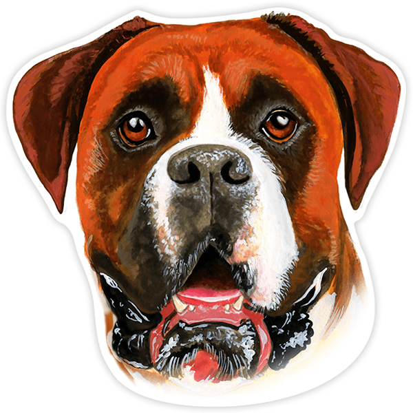 Autocollants: Boxer