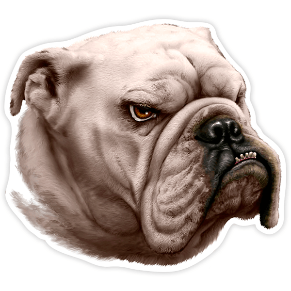 Autocollants: Bulldog