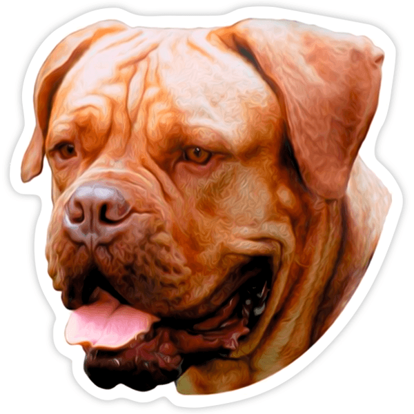 Autocollants: Dogue De Bordeaux