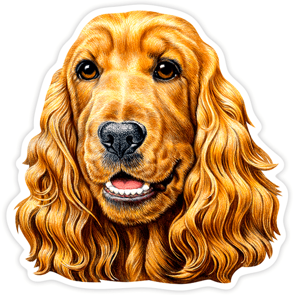 Autocollants: Cocker Spaniel Marron