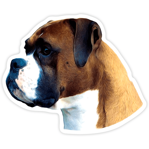 Autocollants: Boxer