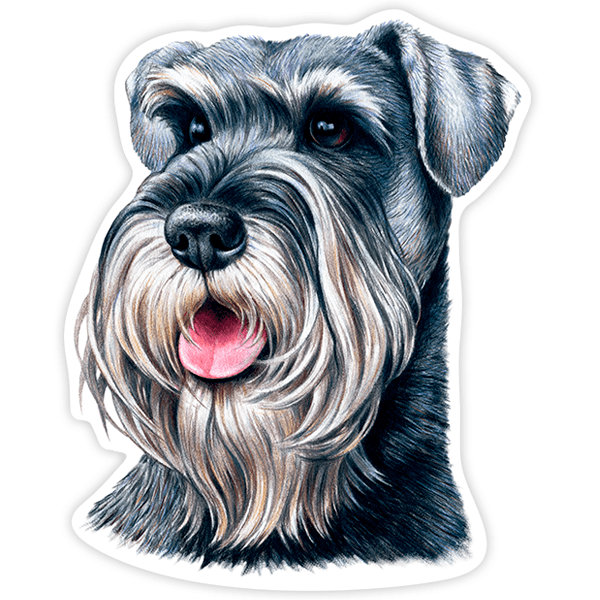 Autocollants: Schnauzer