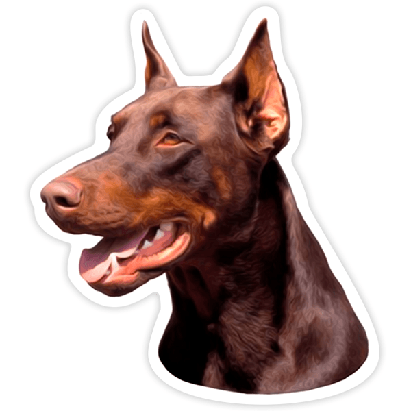 Autocollants: Doberman