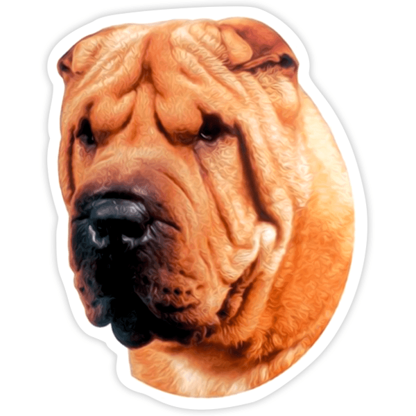 Autocollants: Shar Pei