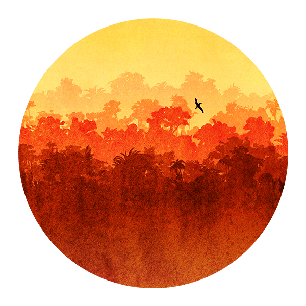 Stickers muraux: Coucher de Soleil dans la Jungle