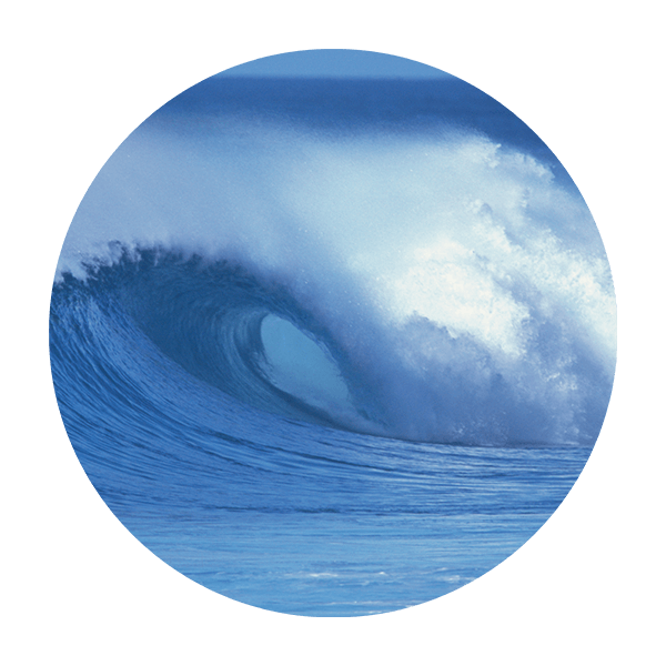 Stickers muraux: Vague de Surf