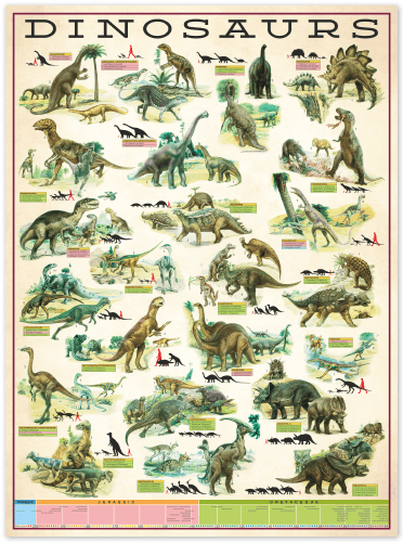 Stickers muraux: Types de dinosaures