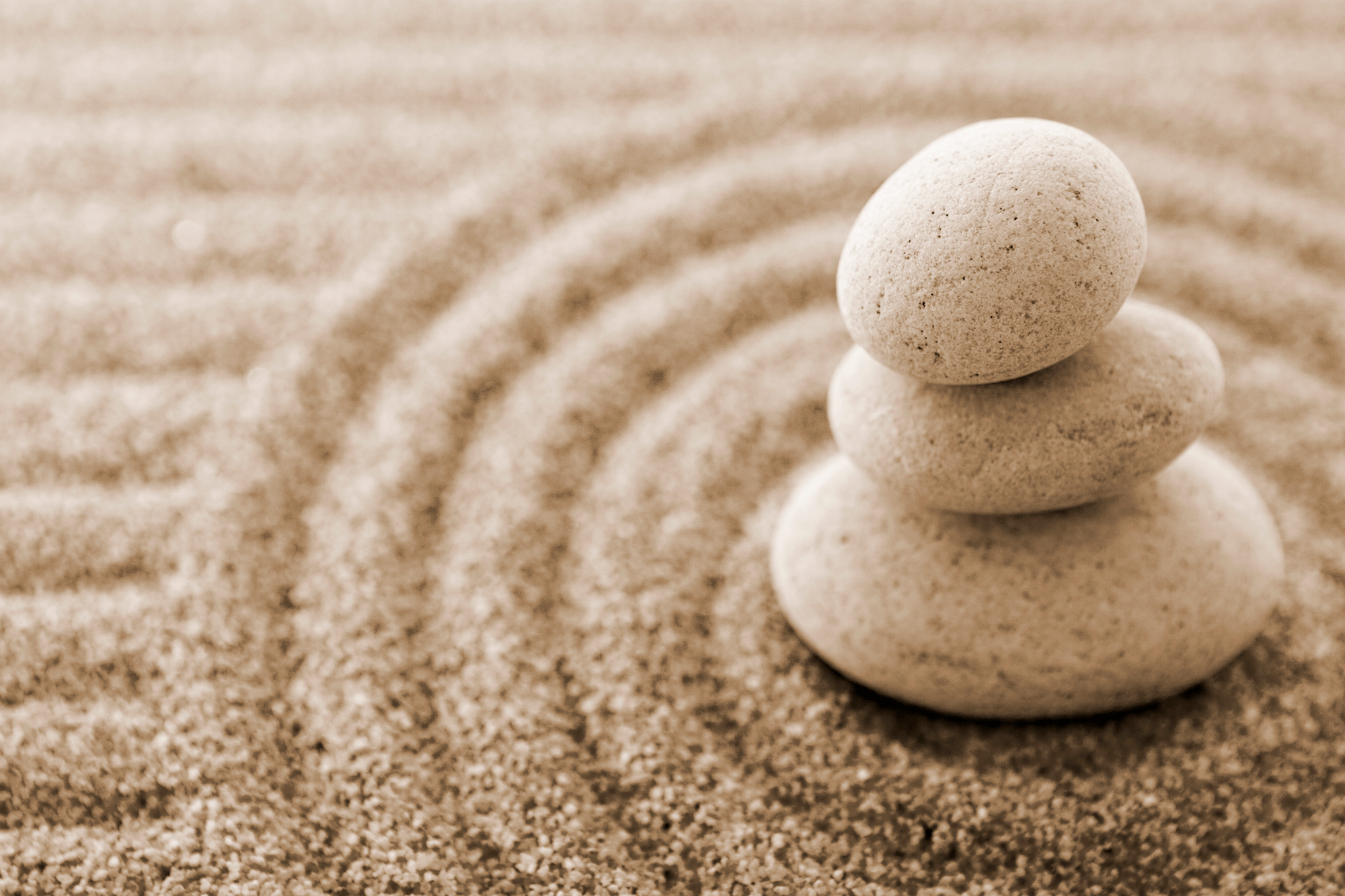 Poster xxl: Zen Garden