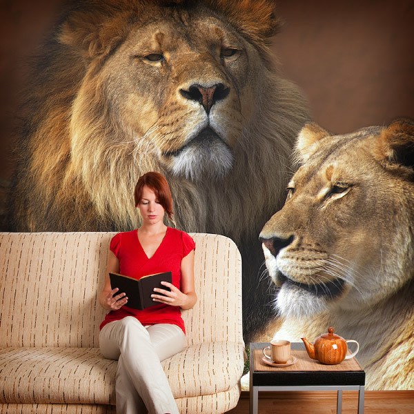 Poster xxl: Lion et lionne 0