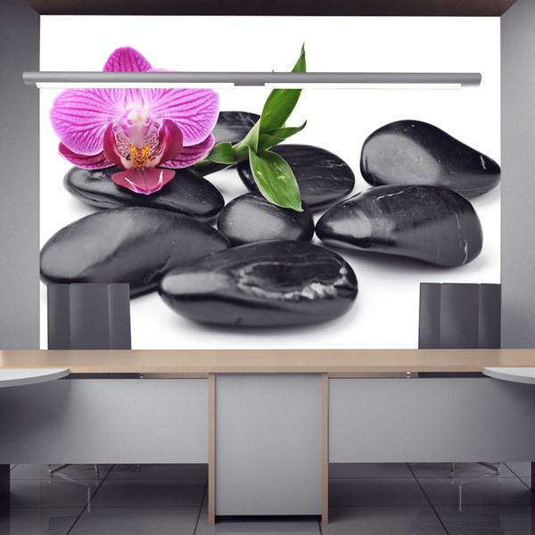 Poster xxl: Orchidée avec pierres 0