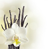 Poster xxl: Orchidée blanche 2