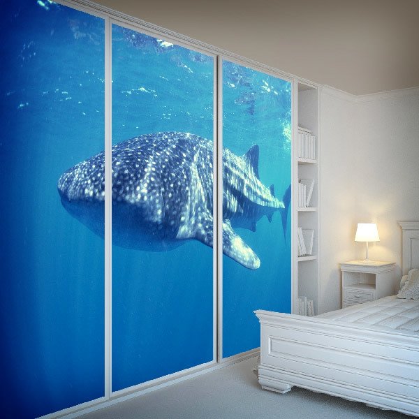 Poster xxl: Requin baleine