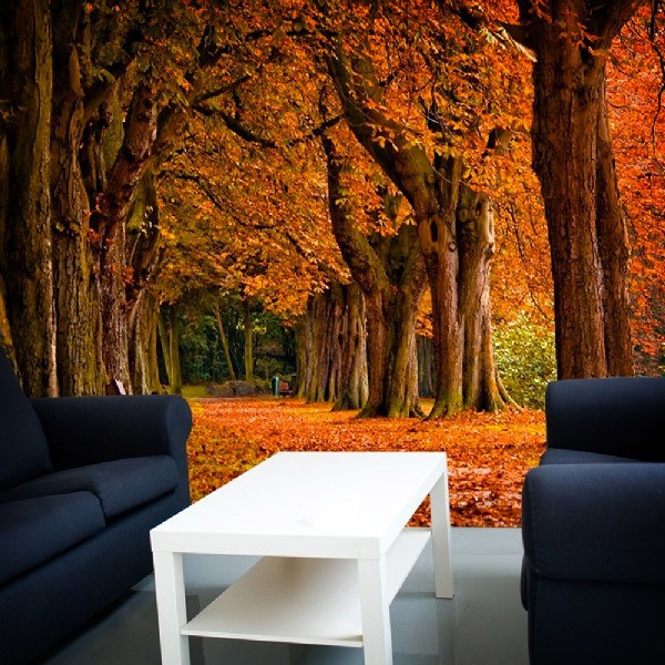 Poster xxl: Parc en automne