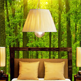 Poster xxl: Coucher de soleil dans la forêt 5