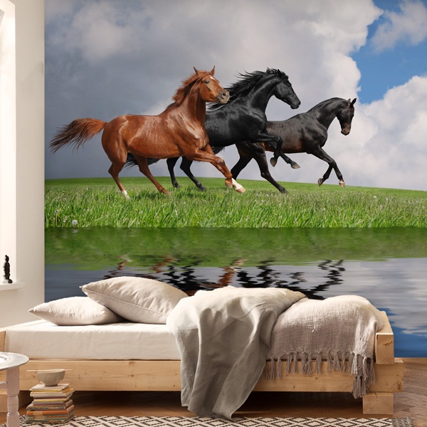 Poster xxl: Chevaux sauvages 0