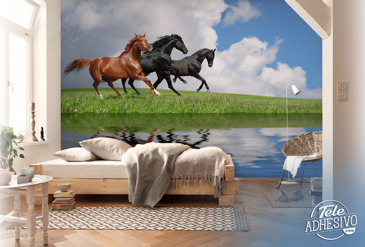 Poster xxl: Chevaux sauvages
