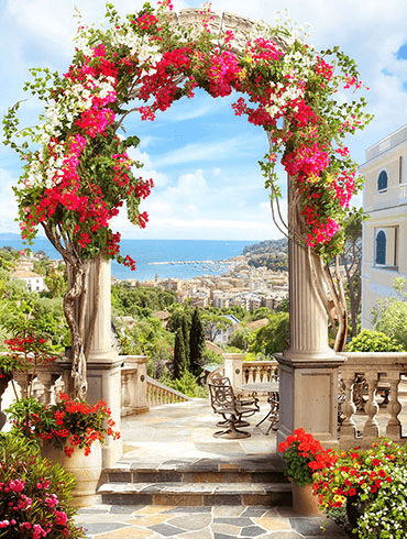 Poster xxl: Arche floral à la côte