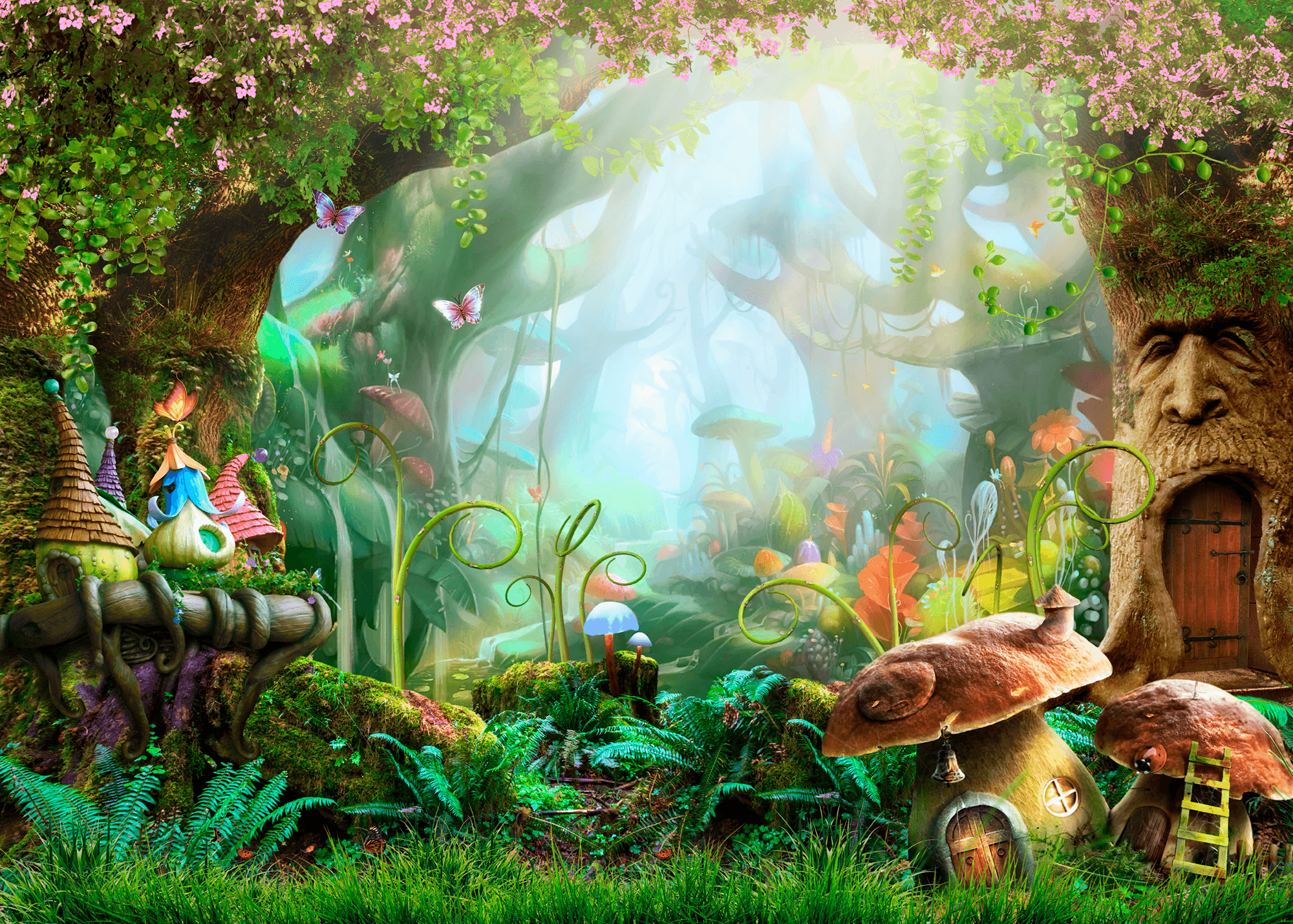 Poster xxl: Forêt fantastique
