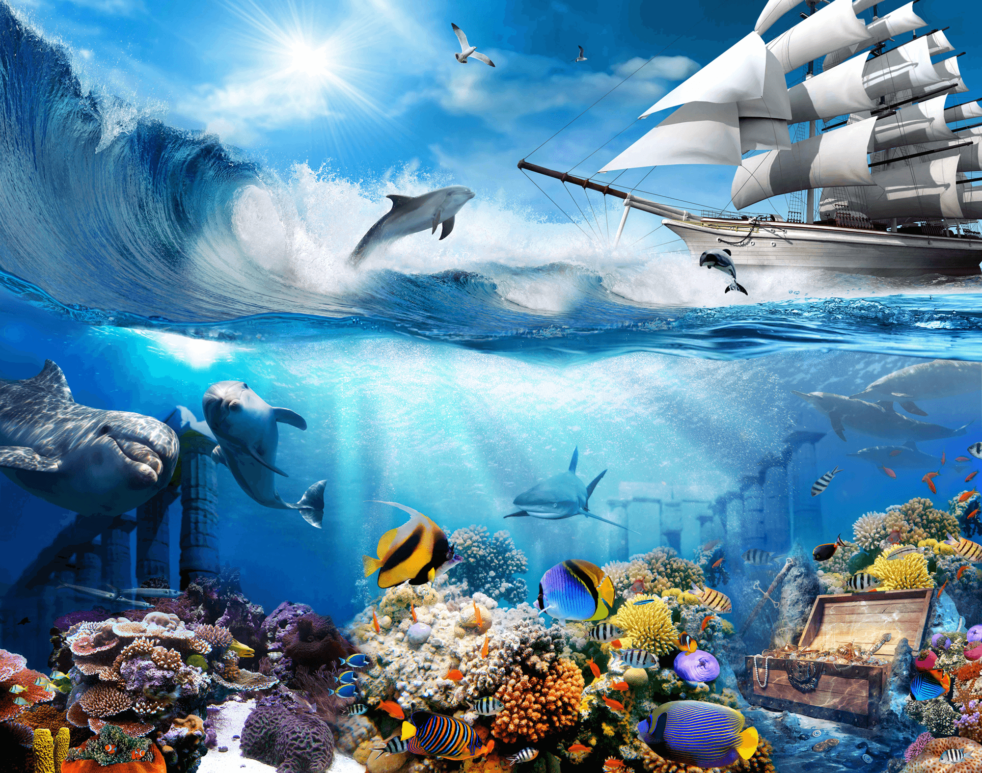 Poster xxl: Dauphins du fond marin