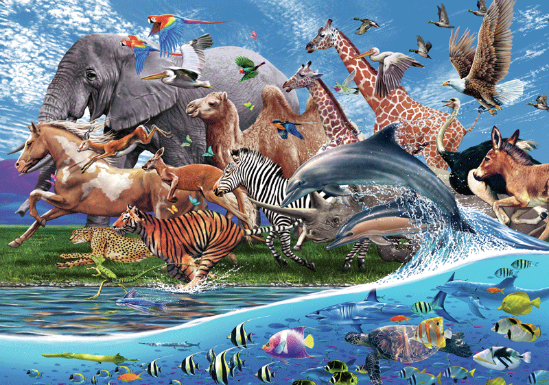 Poster xxl: Migration