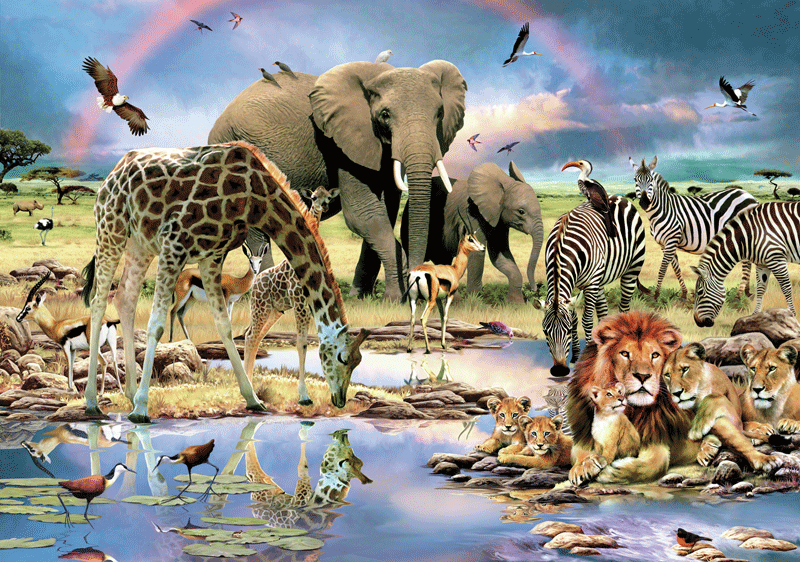 Poster xxl: Savane Nature