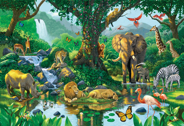 Poster xxl: Les animaux en harmonie